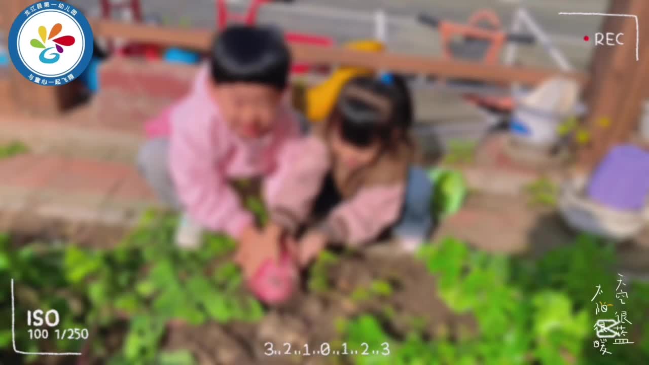 秋收