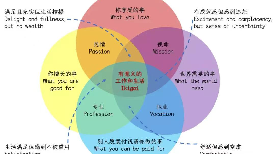 如何理解四维人生规划模型❤️xbeta-20240703